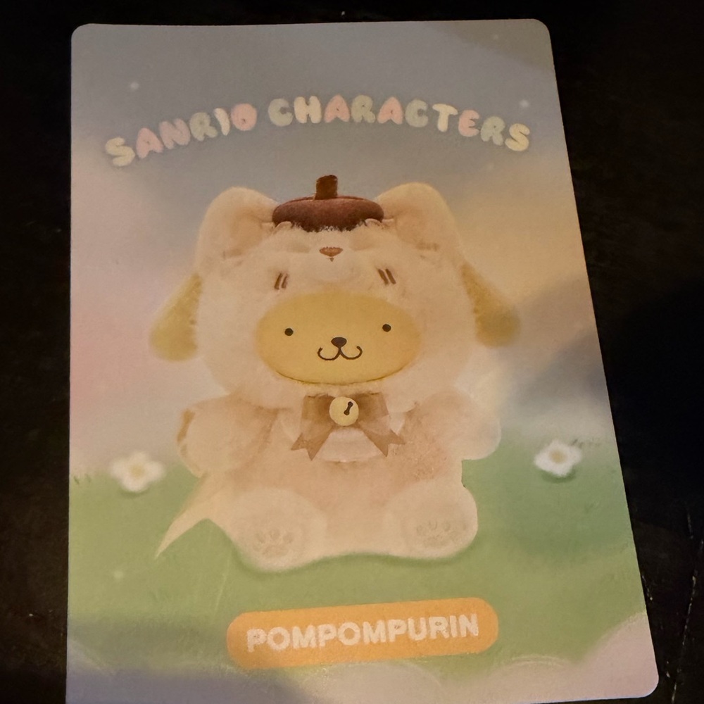 New Bag sealed Pompomurin Sanrio Surprise Vinyl face Plushie